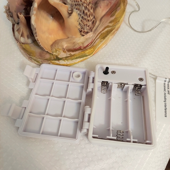 Conch TV  Accent Light Sea Shells Coral Palm Flamingo Rewired Battery 1960 - Picture 10 of 13